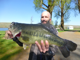 Big bass caught at Sprague Lake Resort