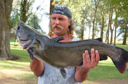 A BIG Catfish caught at Sprague Lake Resort