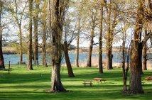 Camping at Sprague Lake Resort